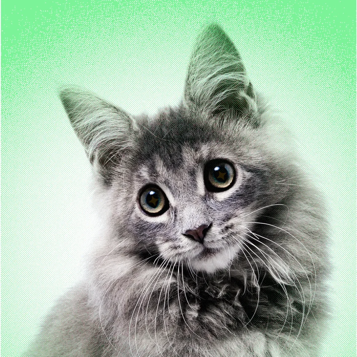 AI Slop Is Ruining Cute Animals on the Internet