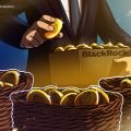 IBIT options price trading more calmly after Bitcoin rebound