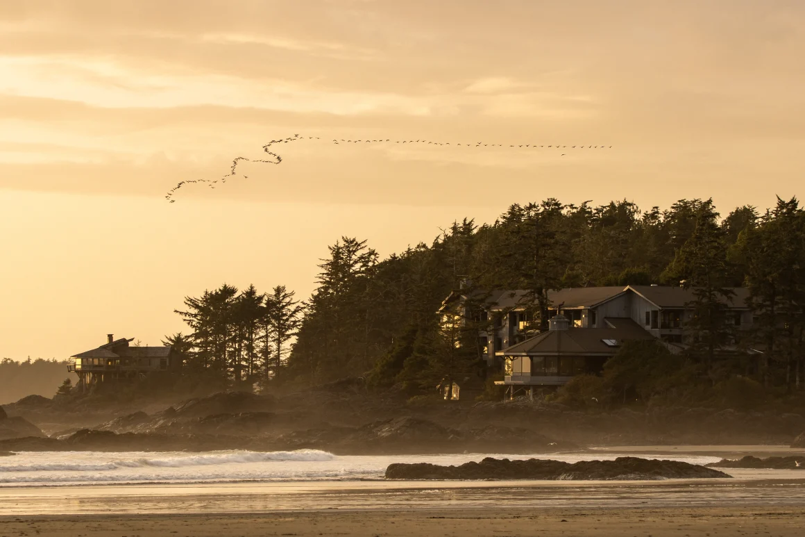 7 of the Best Birdwatching Travel Destinations Around the World